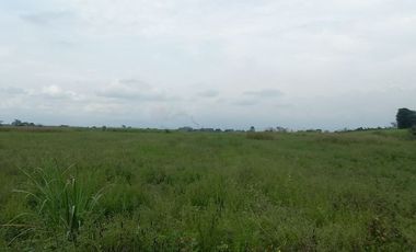 FINCA SEMBRADA EN CAÑA, VILLA RICA. CAUCA