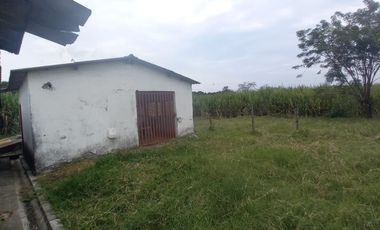 FINCA SEMBRADA EN CAÑA, VILLA RICA. CAUCA