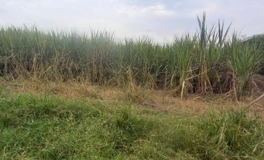 FINCA SEMBRADA EN CAÑA, VILLA RICA. CAUCA