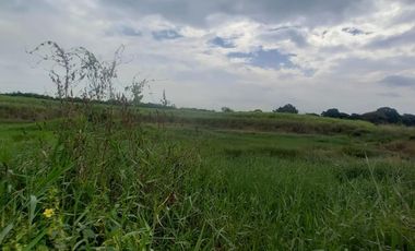 FINCA SEMBRADA EN CAÑA, VILLA RICA. CAUCA