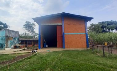 FINCA SEMBRADA EN CAÑA, VILLA RICA. CAUCA