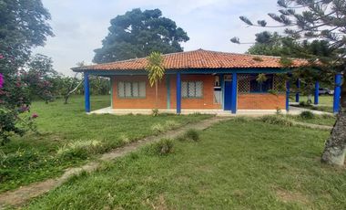 FINCA SEMBRADA EN CAÑA, VILLA RICA. CAUCA