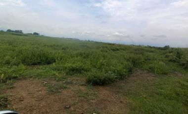 FINCA SEMBRADA EN CAÑA, VILLA RICA. CAUCA