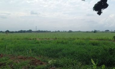 FINCA SEMBRADA EN CAÑA, VILLA RICA. CAUCA