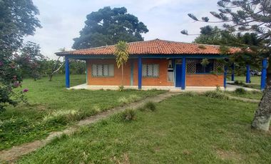 FINCA SEMBRADA EN CAÑA, VILLA RICA. CAUCA