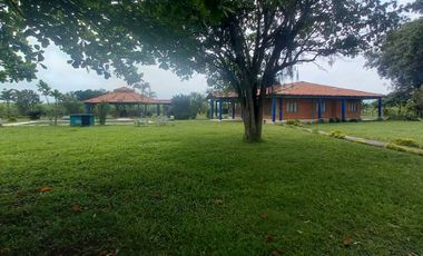 FINCA SEMBRADA EN CAÑA, VILLA RICA. CAUCA