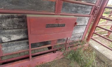 FINCA SEMBRADA EN CAÑA, VILLA RICA. CAUCA