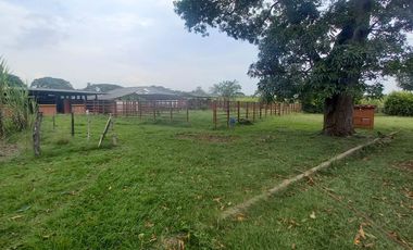 FINCA SEMBRADA EN CAÑA, VILLA RICA. CAUCA