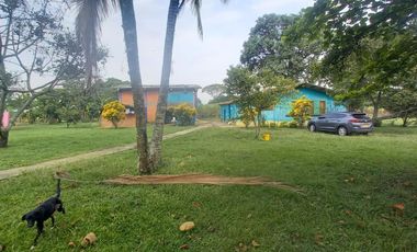 FINCA SEMBRADA EN CAÑA, VILLA RICA. CAUCA
