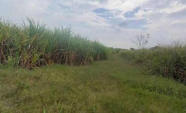 FINCA SEMBRADA EN CAÑA, VILLA RICA. CAUCA