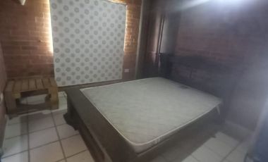 FINCA SEMBRADA EN CAÑA, VILLA RICA. CAUCA