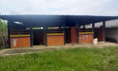 FINCA SEMBRADA EN CAÑA, VILLA RICA. CAUCA