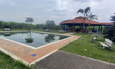 FINCA SEMBRADA EN CAÑA, VILLA RICA. CAUCA
