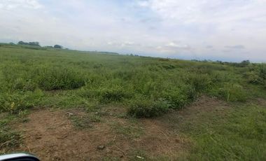 FINCA SEMBRADA EN CAÑA, VILLA RICA. CAUCA