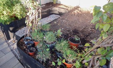 Departamento con Roof Garden Privado, en Renta Casa Nogal, Santa Maria La Ribera