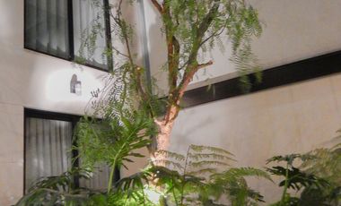 Departamento con Roof Garden Privado, en Renta Casa Nogal, Santa Maria La Ribera