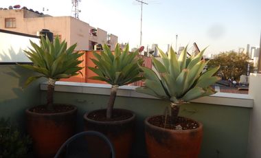 Departamento con Roof Garden Privado, en Renta Casa Nogal, Santa Maria La Ribera