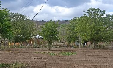 Venta de Finca en Portoviejo Manabí 7.4 Hectáreas
