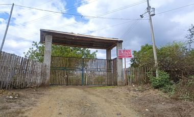Venta de Finca en Portoviejo Manabí 7.4 Hectáreas