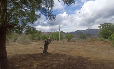 Venta de Finca en Portoviejo Manabí 7.4 Hectáreas