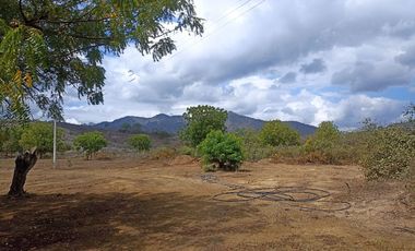 Venta de Finca en Portoviejo Manabí 7.4 Hectáreas