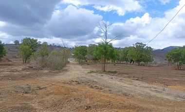 Venta de Finca en Portoviejo Manabí 7.4 Hectáreas