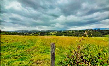 LOTE EN VENTA UBICADO EN LA VEREDA CONCEPCIONBAJA EN COMBITA