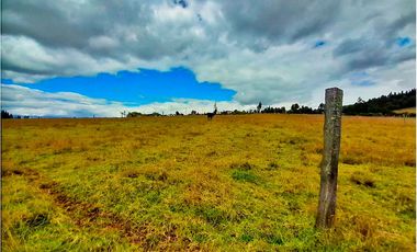 LOTE EN VENTA UBICADO EN LA VEREDA CONCEPCIONBAJA EN COMBITA