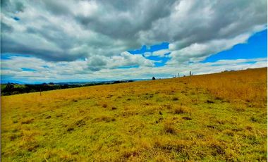 LOTE EN VENTA UBICADO EN LA VEREDA CONCEPCIONBAJA EN COMBITA