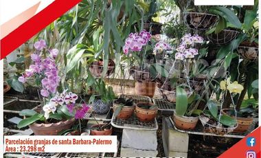 SE VENDE HERMOSA FINCA - PALERMO (HUILA - COLOMBIA)