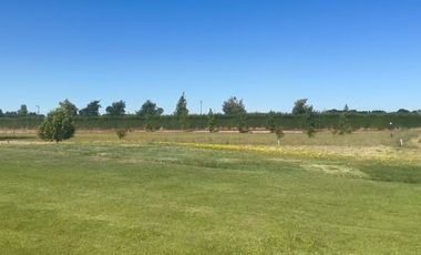 Parcela de 5000m2 exclusiva Club del Golf de Los Angeles UF. 1,5 el M2
