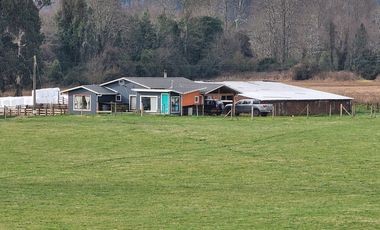 Se Vende Predio Agrícola-Ganadero de 105 ha cercano a Paillaco, Región de los Ríos