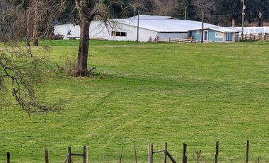 Se Vende Predio Agrícola-Ganadero de 105 ha cercano a Paillaco, Región de los Ríos