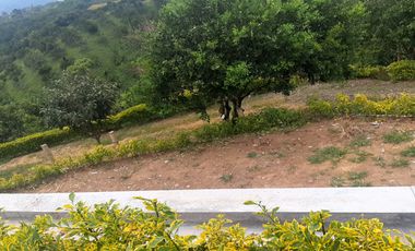 ESPECTACULAR FINCA EN MORELIA PEREIRA PARA LA VENTA