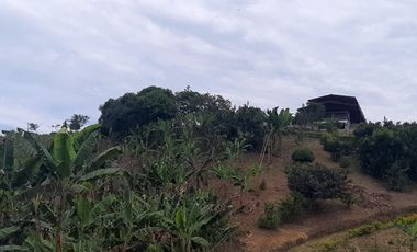 ESPECTACULAR FINCA EN MORELIA PEREIRA PARA LA VENTA