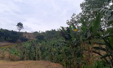 ESPECTACULAR FINCA EN MORELIA PEREIRA PARA LA VENTA