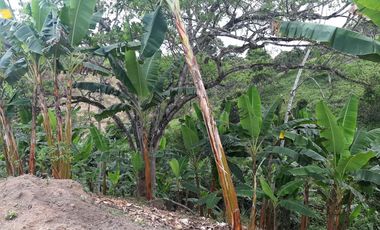 ESPECTACULAR FINCA EN MORELIA PEREIRA PARA LA VENTA