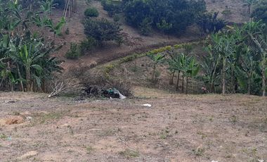 ESPECTACULAR FINCA EN MORELIA PEREIRA PARA LA VENTA