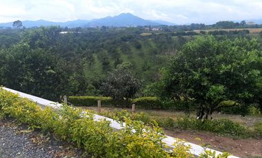 ESPECTACULAR FINCA EN MORELIA PEREIRA PARA LA VENTA