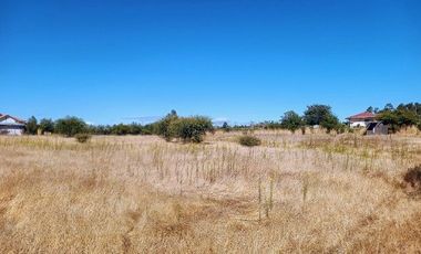 Parcela en Pencahue V 1542-P-71-P-GR-3.24