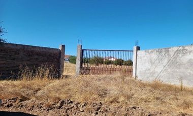 Parcela en Pencahue V 1542-P-71-P-GR-3.24