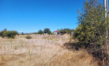 Parcela en Pencahue V 1542-P-71-P-GR-3.24