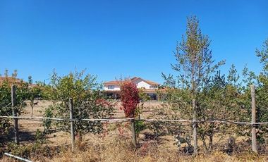 Parcela en Pencahue V 1542-P-71-P-GR-3.24