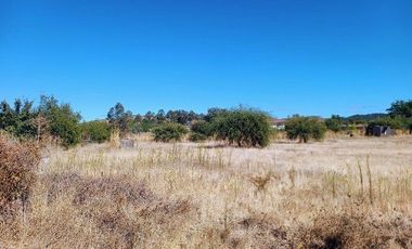 Parcela en Pencahue V 1542-P-71-P-GR-3.24