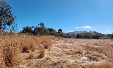 Parcela en Pencahue V 1542-P-71-P-GR-3.24