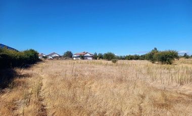 Parcela en Pencahue V 1542-P-71-P-GR-3.24