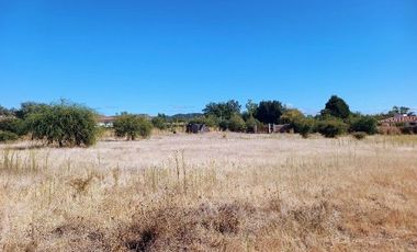 Parcela en Pencahue V 1542-P-71-P-GR-3.24