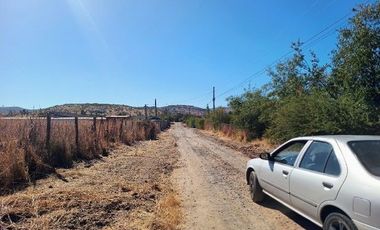 Parcela en Pencahue V 1542-P-71-P-GR-3.24