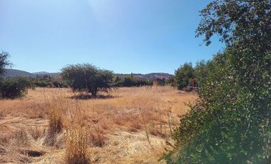 Parcela en Pencahue V 1542-P-71-P-GR-3.24