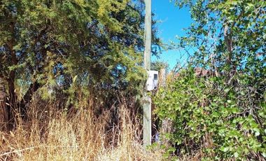 Parcela en Pencahue V 1542-P-71-P-GR-3.24